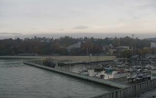 Gdynia Marina - 02-11-2025 06:45