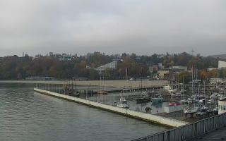 Gdynia Marina - 02-11-2025 08:03