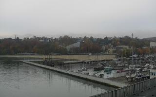 Gdynia Marina - 03-11-2025 08:37