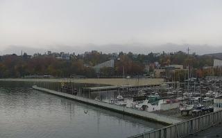 Gdynia Marina - 03-11-2025 08:53