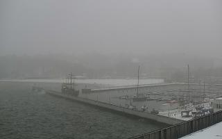 Gdynia Marina - 16-01-2026 07:53