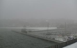 Gdynia Marina - 16-01-2026 08:01