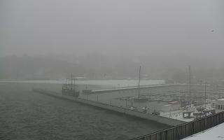 Gdynia Marina - 16-01-2026 08:03