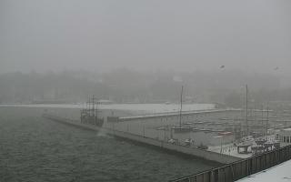 Gdynia Marina - 16-01-2026 08:27