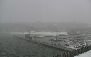 Gdynia Marina - 16-01-2026 08:37