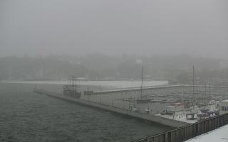 Gdynia Marina - 16-01-2026 08:45