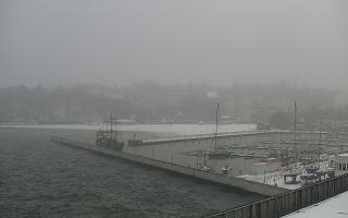 Gdynia Marina - 16-01-2026 08:53