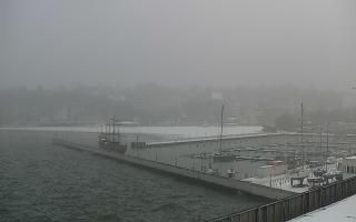 Gdynia Marina - 16-01-2026 09:01