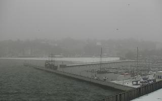 Gdynia Marina - 16-01-2026 09:11