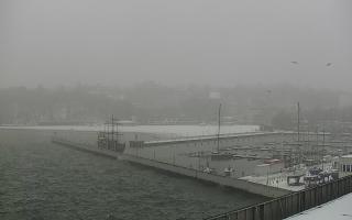 Gdynia Marina - 16-01-2026 09:19