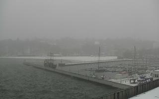 Gdynia Marina - 16-01-2026 09:35