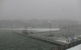 Gdynia Marina - 16-01-2026 09:53