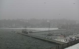 Gdynia Marina - 16-01-2026 10:01