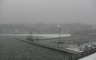 Gdynia Marina - 16-01-2026 10:19