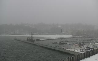 Gdynia Marina - 16-01-2026 11:00