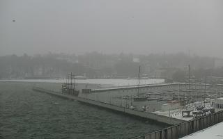 Gdynia Marina - 16-01-2026 11:08