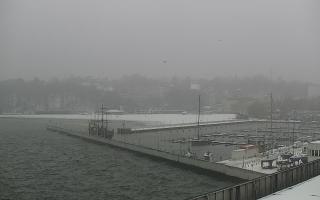 Gdynia Marina - 16-01-2026 11:26