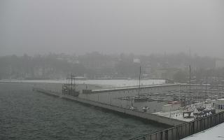 Gdynia Marina - 16-01-2026 11:50