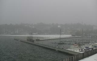 Gdynia Marina - 16-01-2026 11:58
