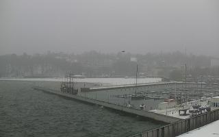 Gdynia Marina - 16-01-2026 12:08