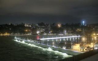 Gdynia Marina - 31-01-2026 00:33