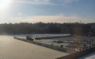 Gdynia Marina - 01-02-2026 13:08