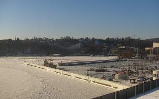 Gdynia Marina - 02-02-2026 10:01