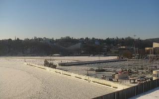 Gdynia Marina - 02-02-2026 10:19