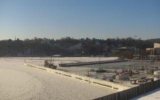 Gdynia Marina - 02-02-2026 10:27