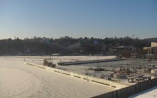 Gdynia Marina - 02-02-2026 10:35