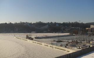 Gdynia Marina - 02-02-2026 11:01