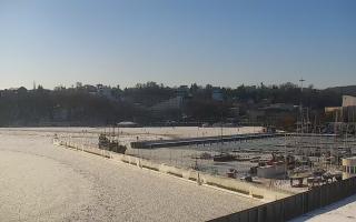 Gdynia Marina - 02-02-2026 11:09