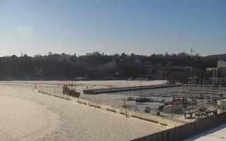 Gdynia Marina - 02-02-2026 11:34