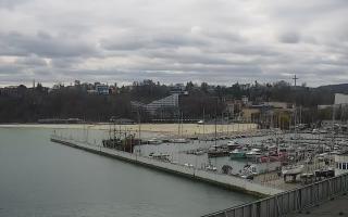 Gdynia Marina - 17-04-2026 11:37