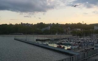Gdynia Marina - 13-05-2026 18:11