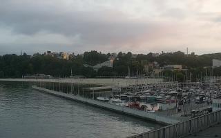 Gdynia Marina - 31-05-2026 18:54