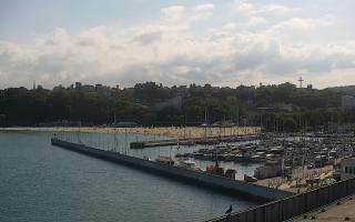 Gdynia Marina - 01-06-2026 14:39