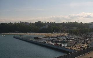 Gdynia Marina - 01-06-2026 15:31