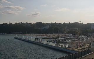 Gdynia Marina - 29-07-2026 16:05