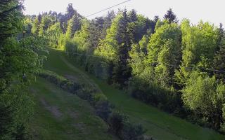 Laskowa pośredni - 02-05-2025 15:08