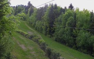 Laskowa pośredni - 02-05-2025 17:09