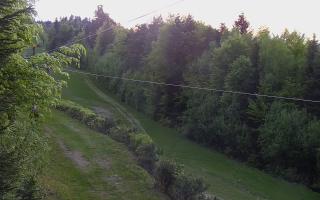 Laskowa pośredni - 02-05-2025 18:04