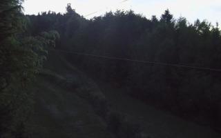 Laskowa pośredni - 02-05-2025 18:37