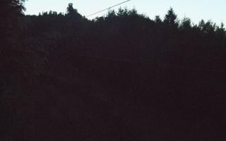 Laskowa pośredni - 02-05-2025 18:59