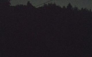 Laskowa pośredni - 02-05-2025 19:43
