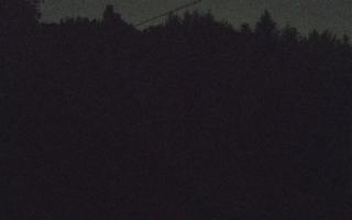 Laskowa pośredni - 02-05-2025 19:54