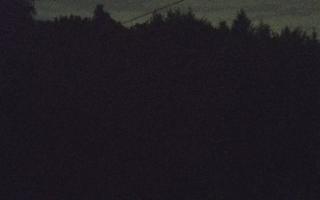 Laskowa pośredni - 02-05-2025 20:38