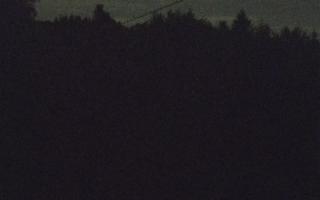 Laskowa pośredni - 02-05-2025 21:00