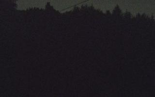 Laskowa pośredni - 02-05-2025 21:10