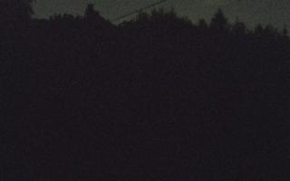 Laskowa pośredni - 02-05-2025 21:32